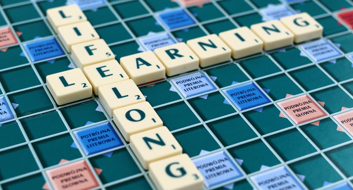 Lifelong learning