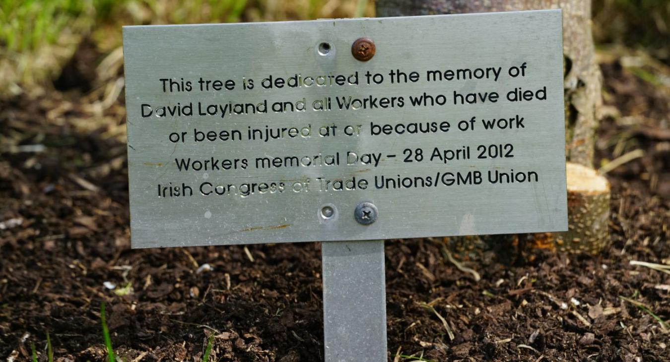 Plaque at tree in Stormont