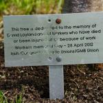 Plaque at tree in Stormont